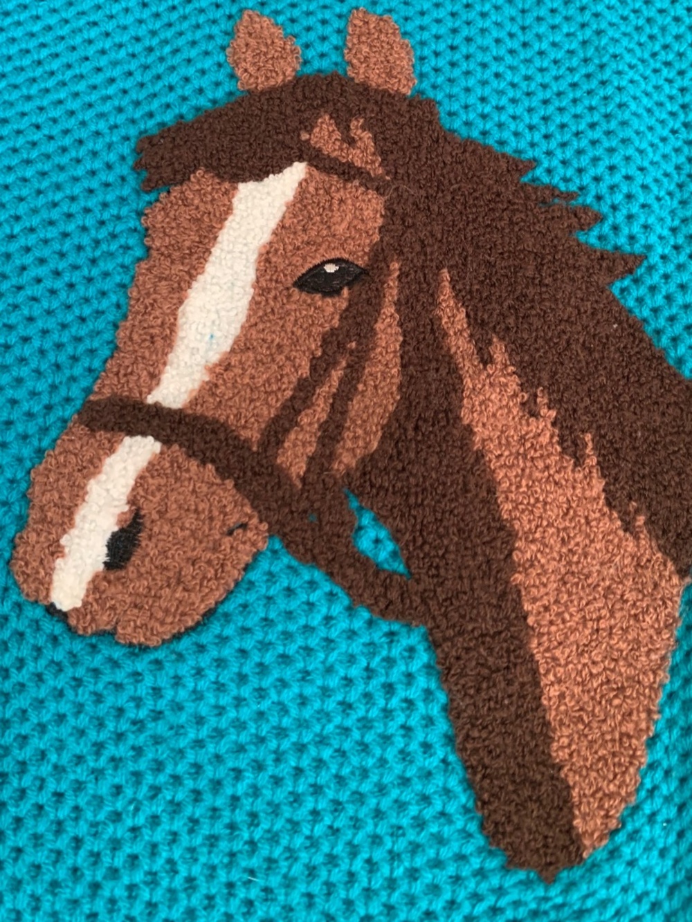 Cotton Rye Teal Green Horse Graphic Embroidered Equestrian Sweater Girls L/10